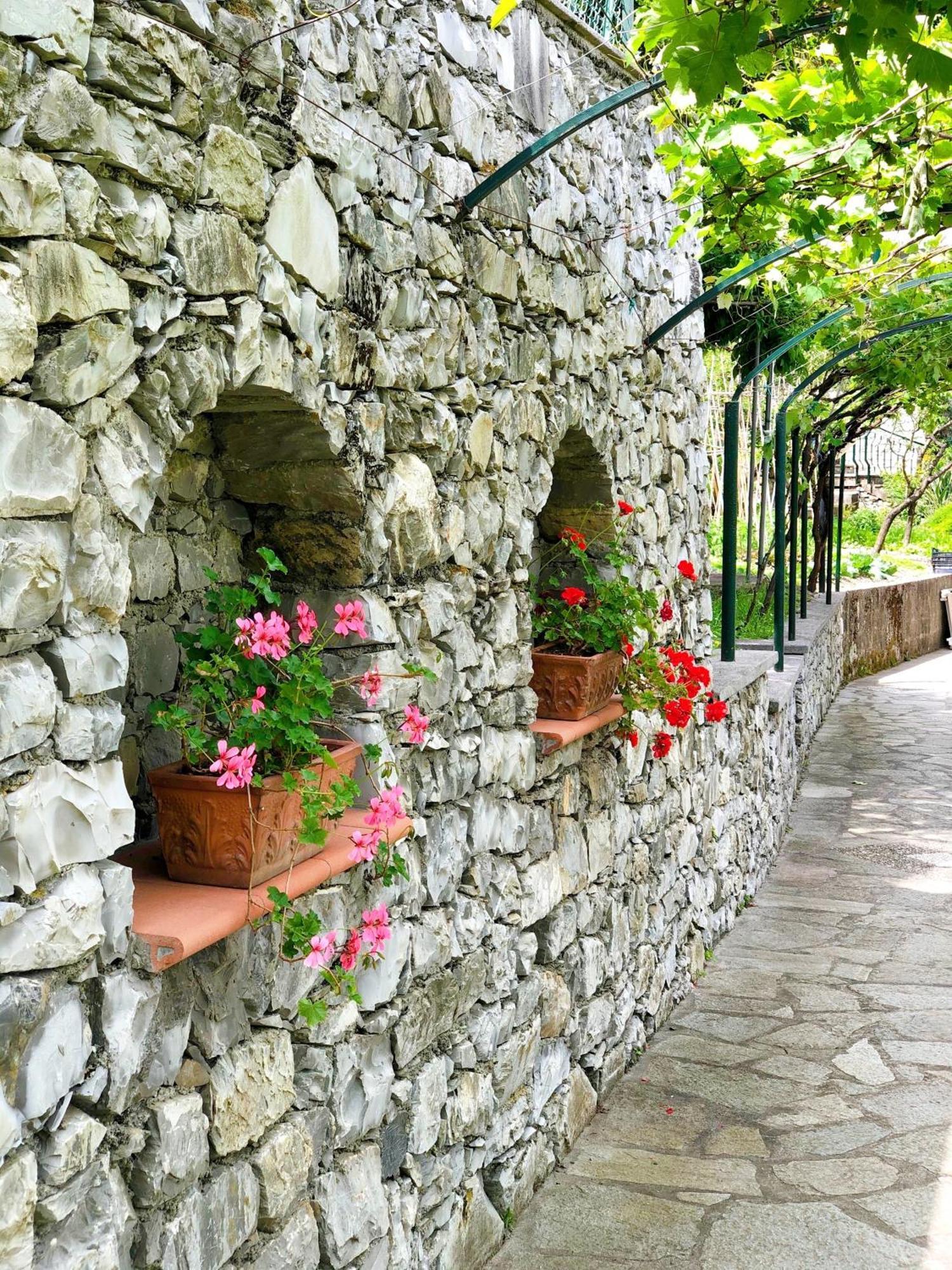 Hotel Villa Edera & La Torretta Moneglia Dış mekan fotoğraf